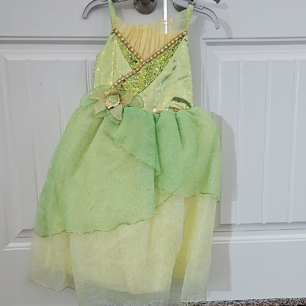 Disney Princess Dress